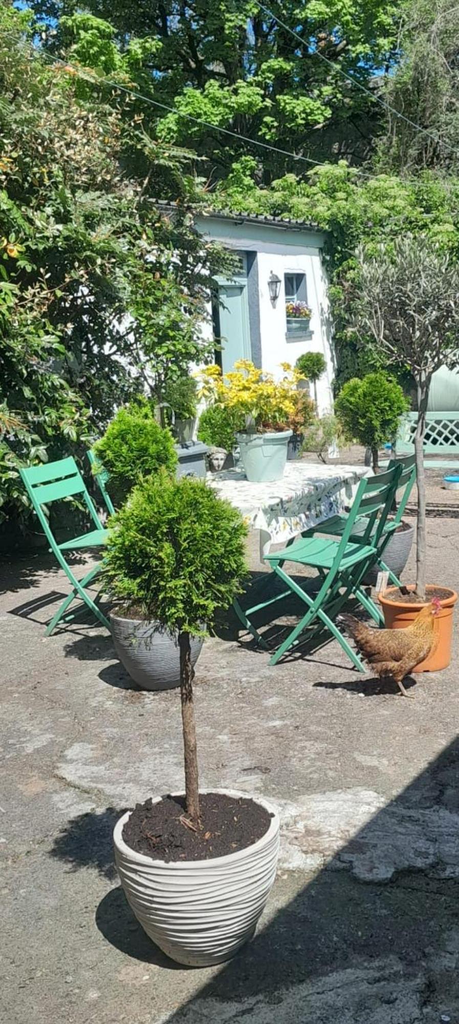 Saint Martin'S Bed And Breakfast Bandon Exterior foto